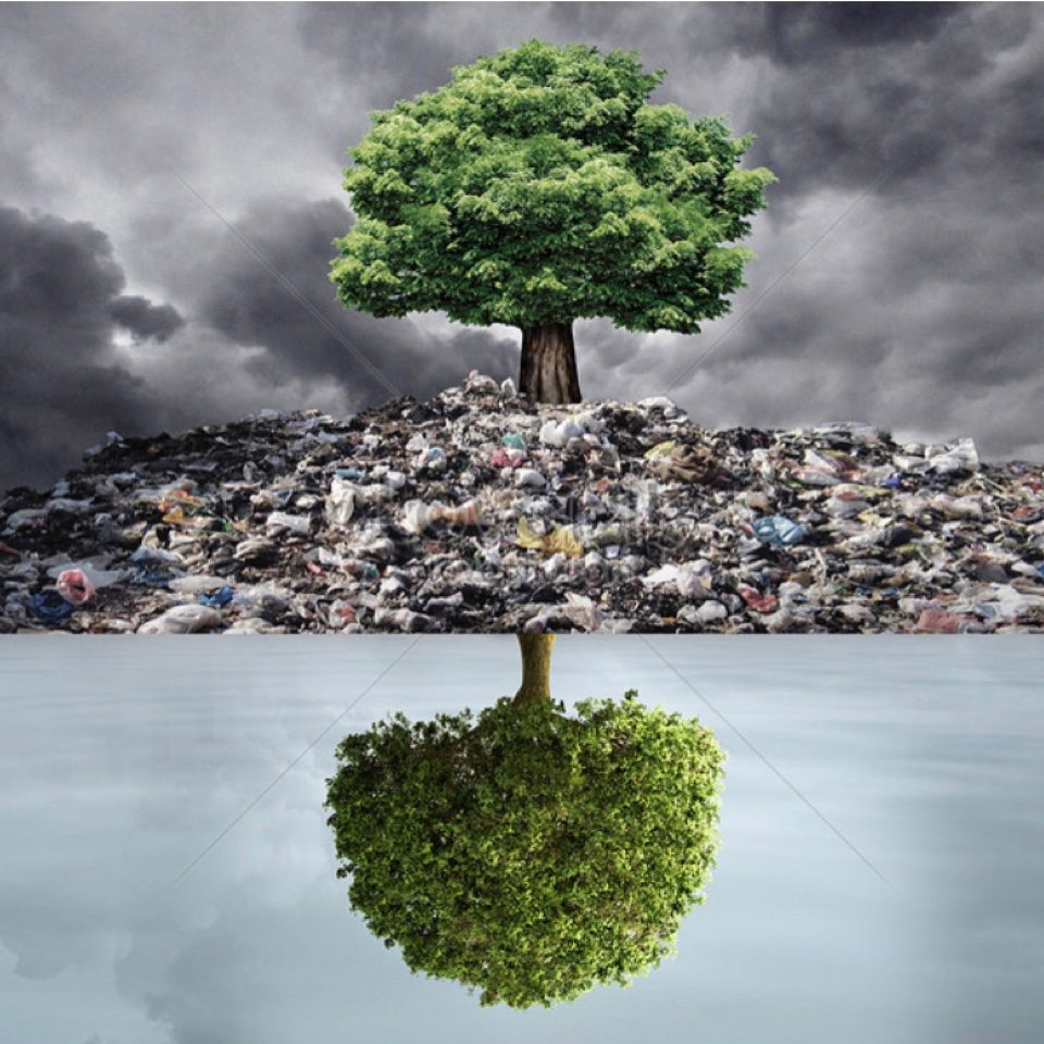 التلوث البيئي ☘️